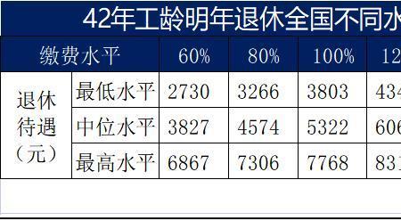 工龄满42年退休金个人账户怎么查