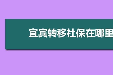 宜宾灵活就业人员社保怎么交