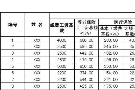 三险缴费明细