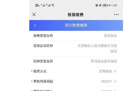 成都灵活就业医保怎么交不了