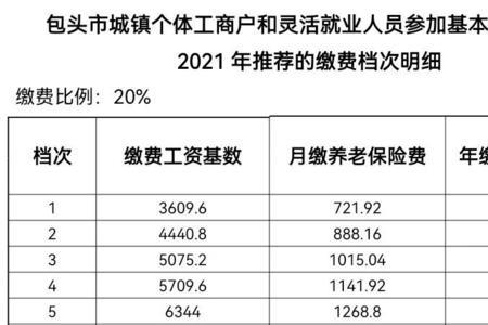 个人缴纳养老保险的单位是