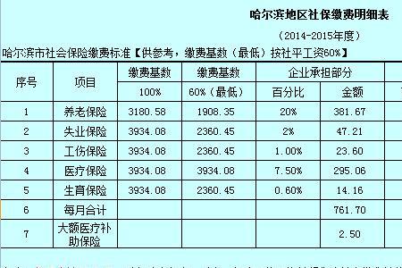 社会保险费和社保费一样吗