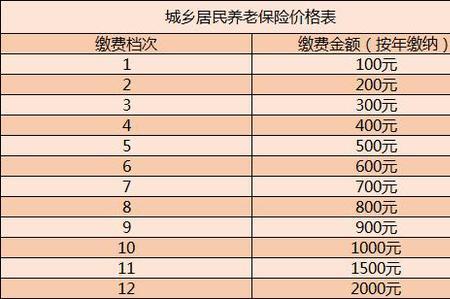 养老保险缴存基数3900元什么意思