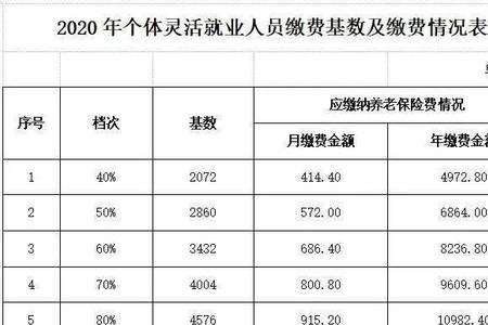 2022年灵活就业养老交费几个档次