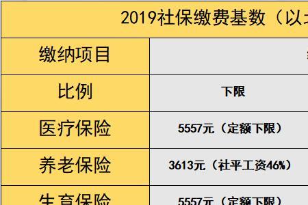社保每个月交290是什么水平