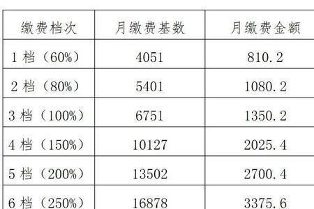 2010陕西灵活就业社保缴费档次