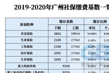 广州社保缴纳查询时间