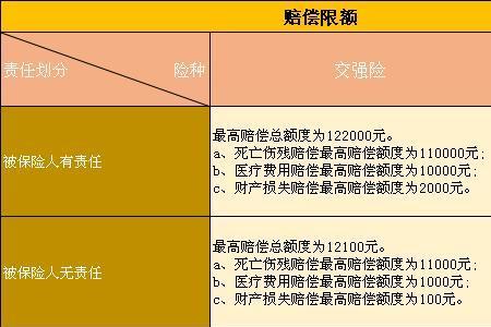 个人缴纳保费意义何在