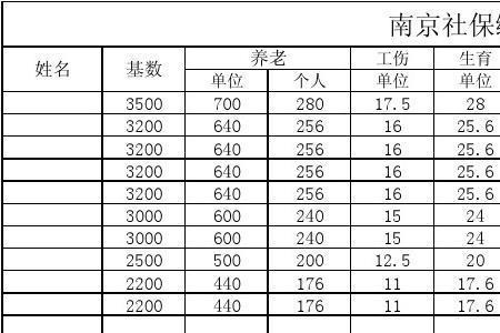 个人社保缴费标准明细表