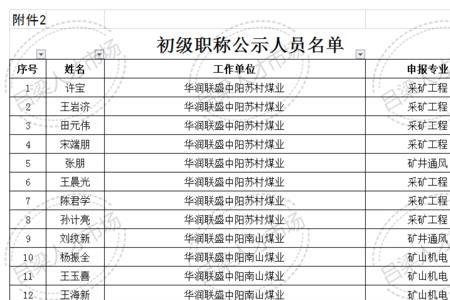 中级医师职称证书查询系统