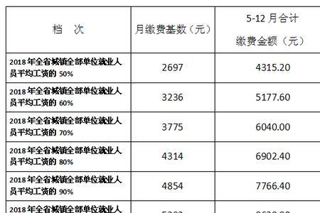 社保养老保险一年需要交多少钱