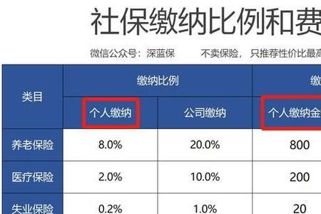 大社保和小社保有什么区别