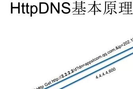 dns指针作用