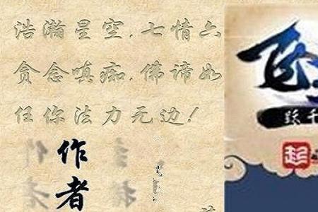 飞天苗毅介绍