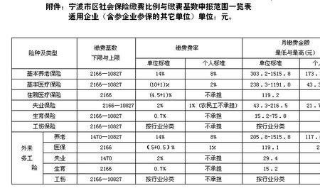 小规模企业社保缴费标准