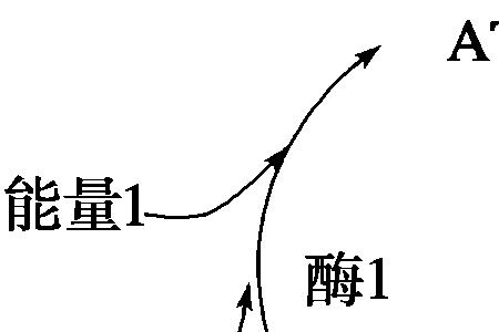 ATP分子是什么