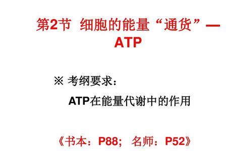 ATP与能量区别