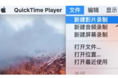 quick-minded是什么意思