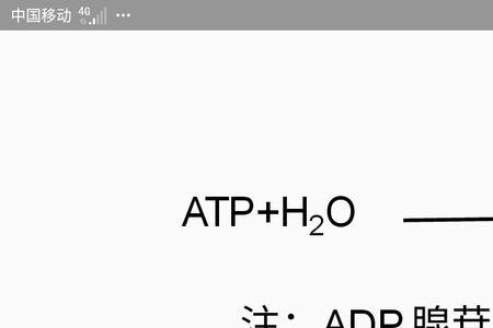 ATP中P是什么