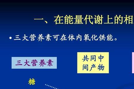 简述外源化学物生物转运的类型