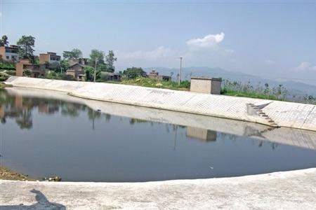 荒塘野鹤觅鱼踪下联