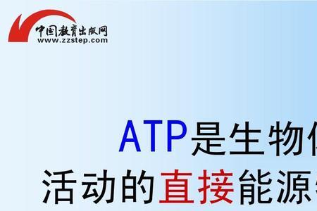 ATP是如何在细胞中起作用的