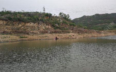 方形水库钓鲤鱼怎么选钓位