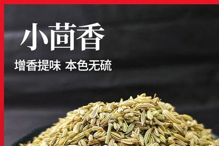 炖肉用小茴香好吃吗