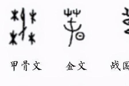 文字甲骨文怎么写