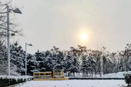 白雪霏霏是什么意思