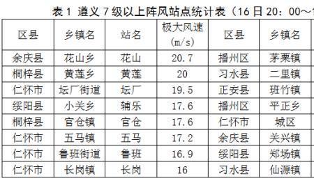 阵风10米每秒风速是几级