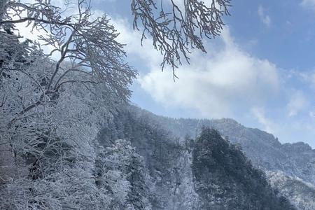 茫茫大山意思