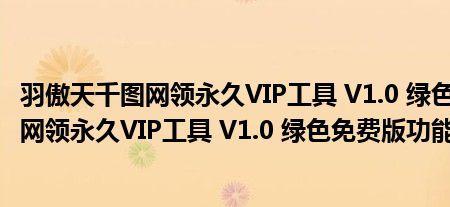 永久vip是什么意思