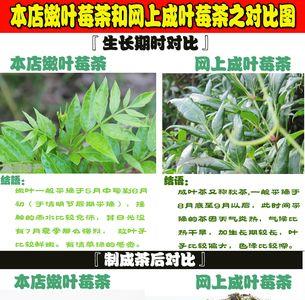 张家界莓茶怎么泡