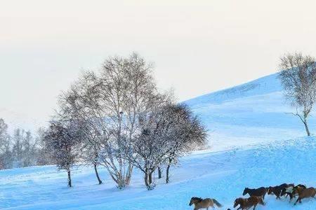 冬季降雪多的原因