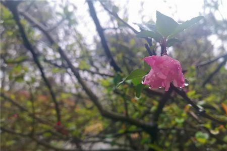 春雨绵绵润万物什么意思