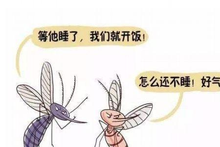 蚊子会在人身上产卵吗