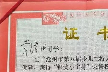 雏鹰少年奖是什么意思