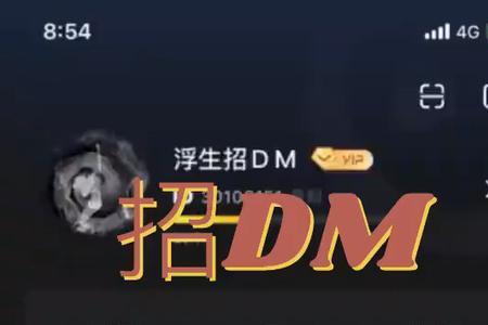 百变大侦探怎么当dm