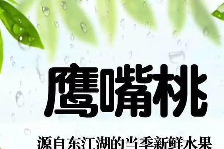 湖南东江湖鹰嘴桃成熟时间