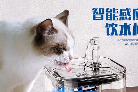 猫咪为什么不喝自动饮水机的水