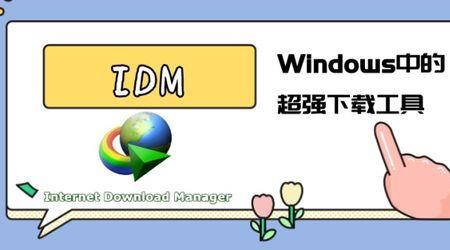 idm支持什么浏览器