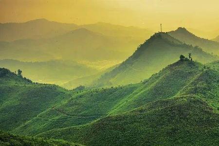 葱茏碧绿的意思