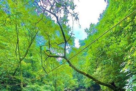 青城山后山喝茶耍水最佳点