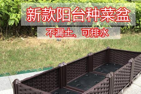 塑料箱种菜有害吗