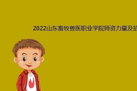 2022畜牧兽医副高职称申报条件