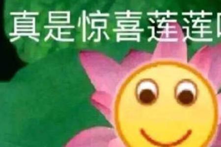 白莲花男是什么意思