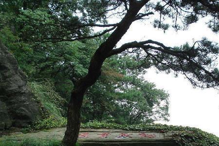 庐山碧龙潭风景区 名句