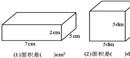 长方体的横截面积指的是什么