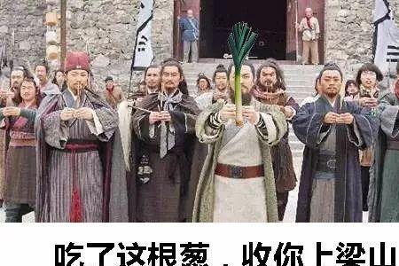 小红和大葱的故事